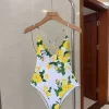 Sexy Smocked One-piece Swimsuit YY-625147