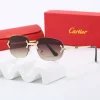 5 Colors High quality rimless metal temples Sunglasses TYJ-615075