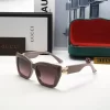 5 Color High quality TR Frame Sunglasses TYJ-615196