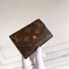 Brown &Orange Lining