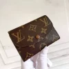 Brown &Brown Lining