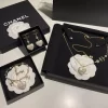 Fashion Heart pendants Jewelry Sets For Earrings Bracelet Necklace SST-612040