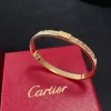 Classic Diamonds Bracelet SL-611042