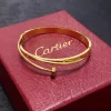 Classic Diamonds Bracelet SL-611041