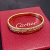 Classic Diamonds Bracelet SL-611049