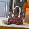 Fashion M45659 M46373 M44571 25x19x11.5cm Handbag BB-150181