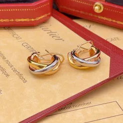 Elegant Circles Earrings ED-518243